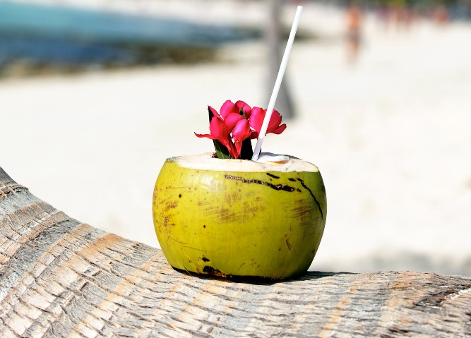 B6 - Rez-de-chaussée